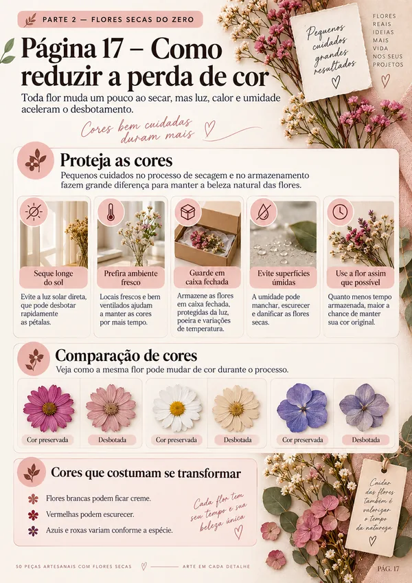Amostra 3